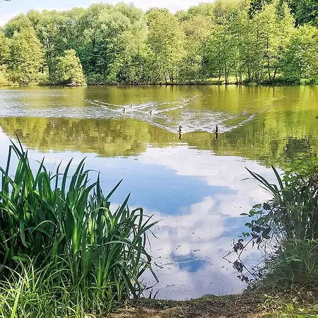 شقة Dornroeschen By Interhome Frankenau