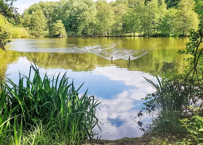 Apartment Dornroeschen By Interhome Frankenau